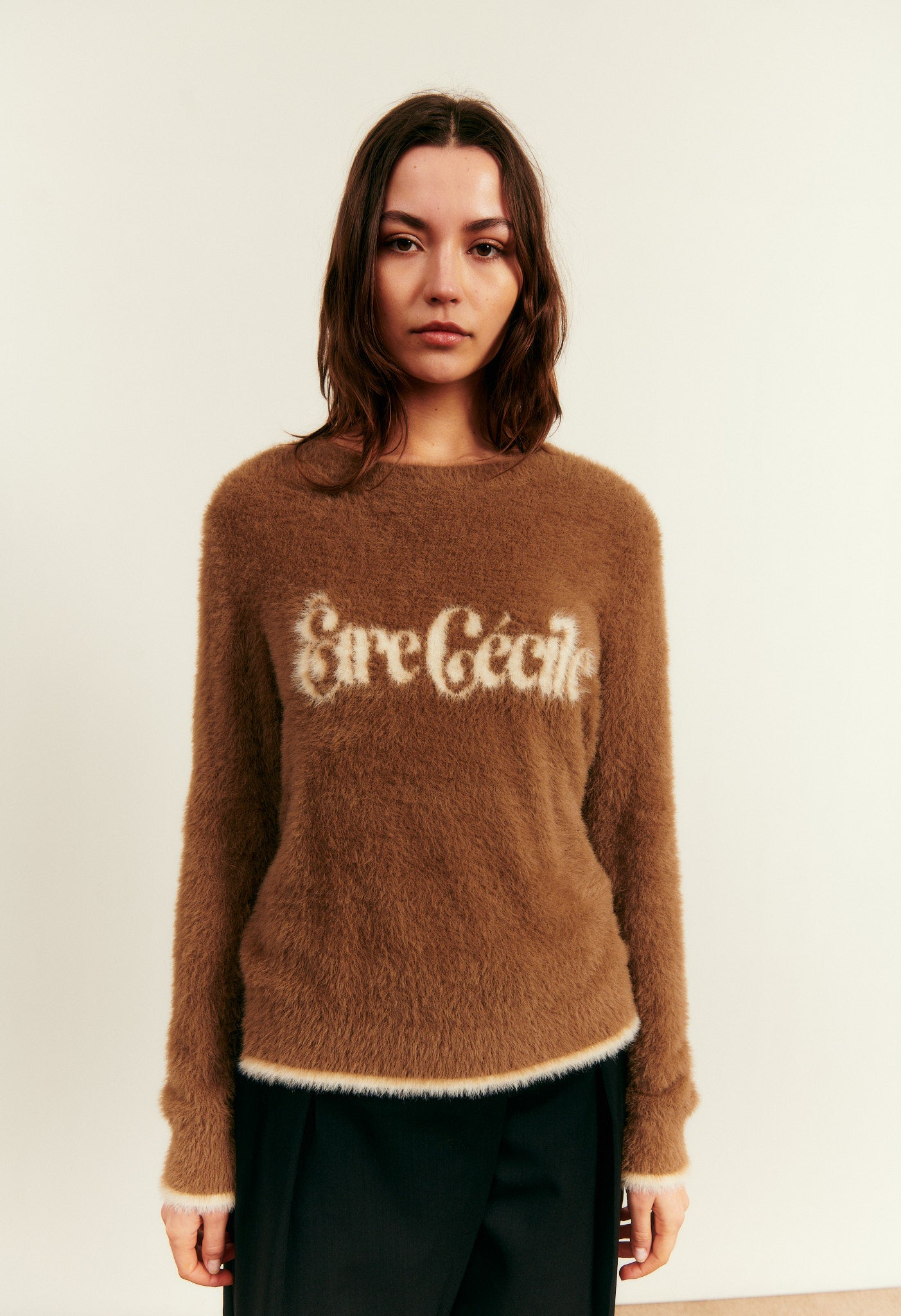 Fluffy Crewneck Jumper in Brown